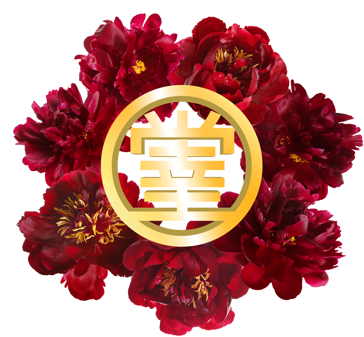 Счастливая пятница — Shiawasedo