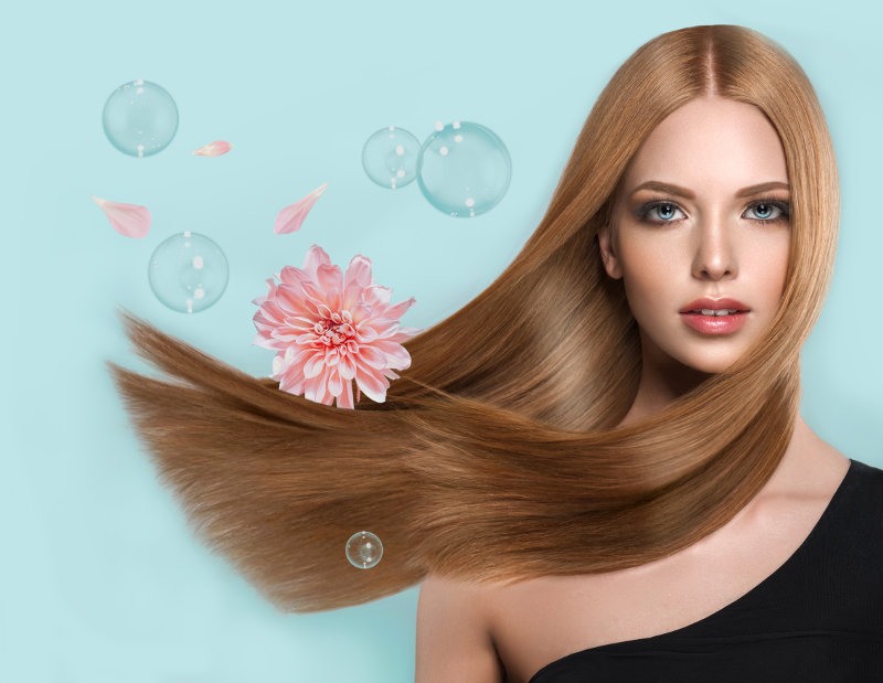 Shiawasedo Professional Hair Care